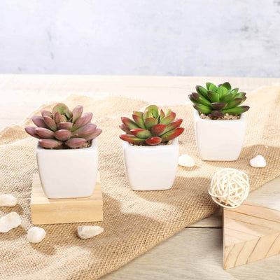 3-Pack Echeveria Elegans Artificial Succulents in Ceramic Pot - Lifelike Decorative Faux Plants for Home Office & Event Design 3"