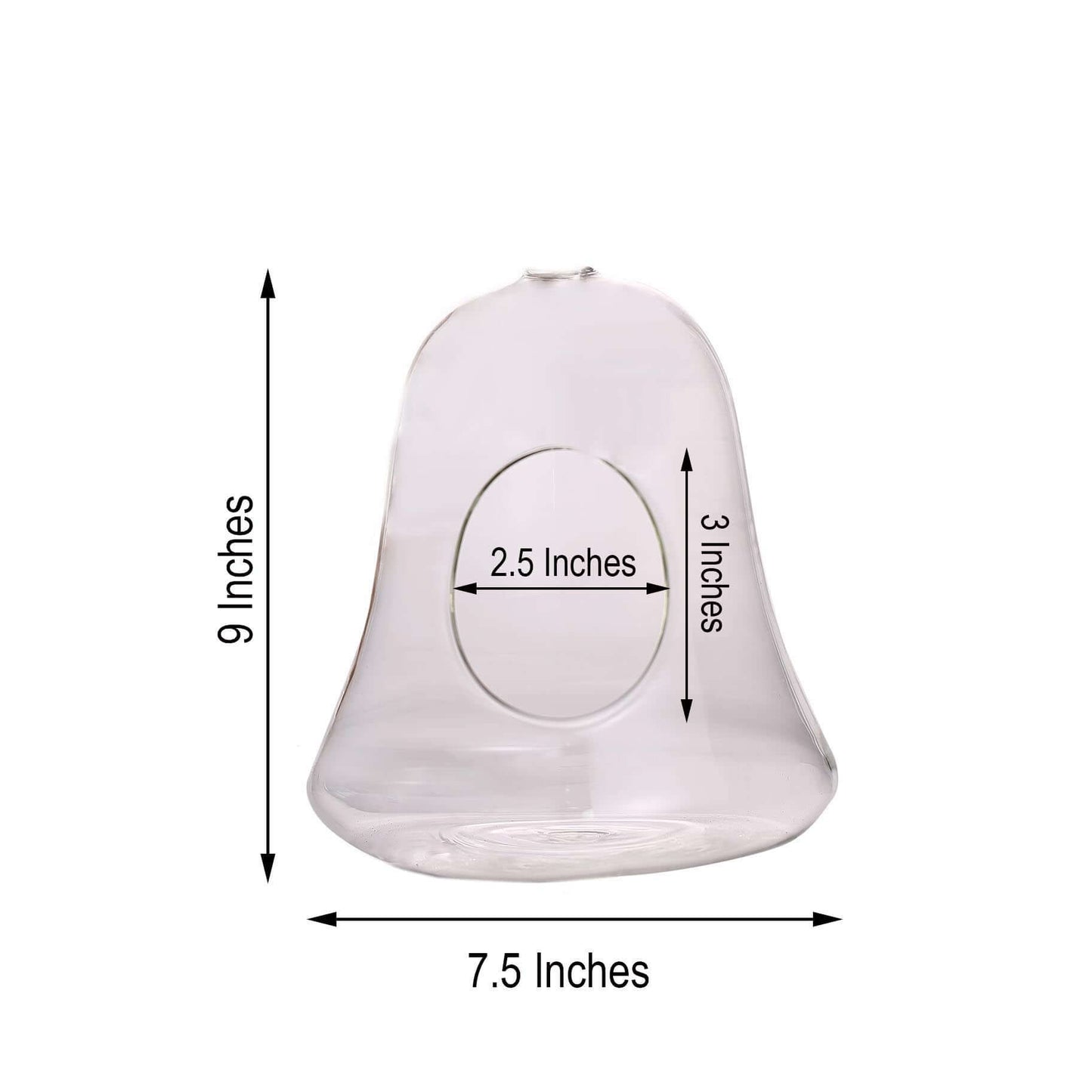 Glass Terrarium Hanging Bell Shaped Design with Twine Rope - Unique Free-Falling Planter for Air Plants & Displays 9"