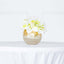 Glass Bud Vase Gold Foiled Crackle Bubble Bowl - Classy Floral Centerpiece for Weddings 4"