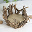 Natural Wooden Candle Holder Centerpiece - Rustic Mini Flower Vase for Events & Tables 6"