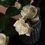 24 Roses 2" Cream Artificial Foam Flowers With Stem Wire and Leaves