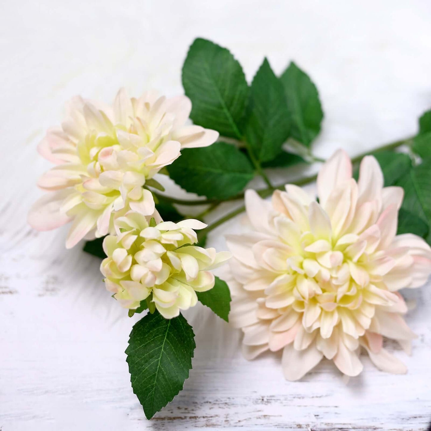 30" Tall Blush Cream Artificial Dahlia Silk Flower Stems, Faux Floral Spray