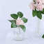 24 Roses 2" Blush Artificial Foam Flowers With Stem Wire and Leaves