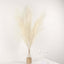 3 Stems Artificial Pampas Grass Decor Cream for Rustic Boho Chic Backdrops Floral Styling & Vase Displays 44"