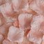 500-Pack Rose Petals Round Design Dusty Rose Silk Confetti - Decorative Scatters for Tables and Floors