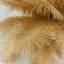 12 Pack 13"-15" Gold Natural Plume Real Ostrich Feathers, DIY Centerpiece Fillers