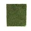 18"x16" Preserved Natural Moss Wall Sheet Roll, Moss Landscape Panel