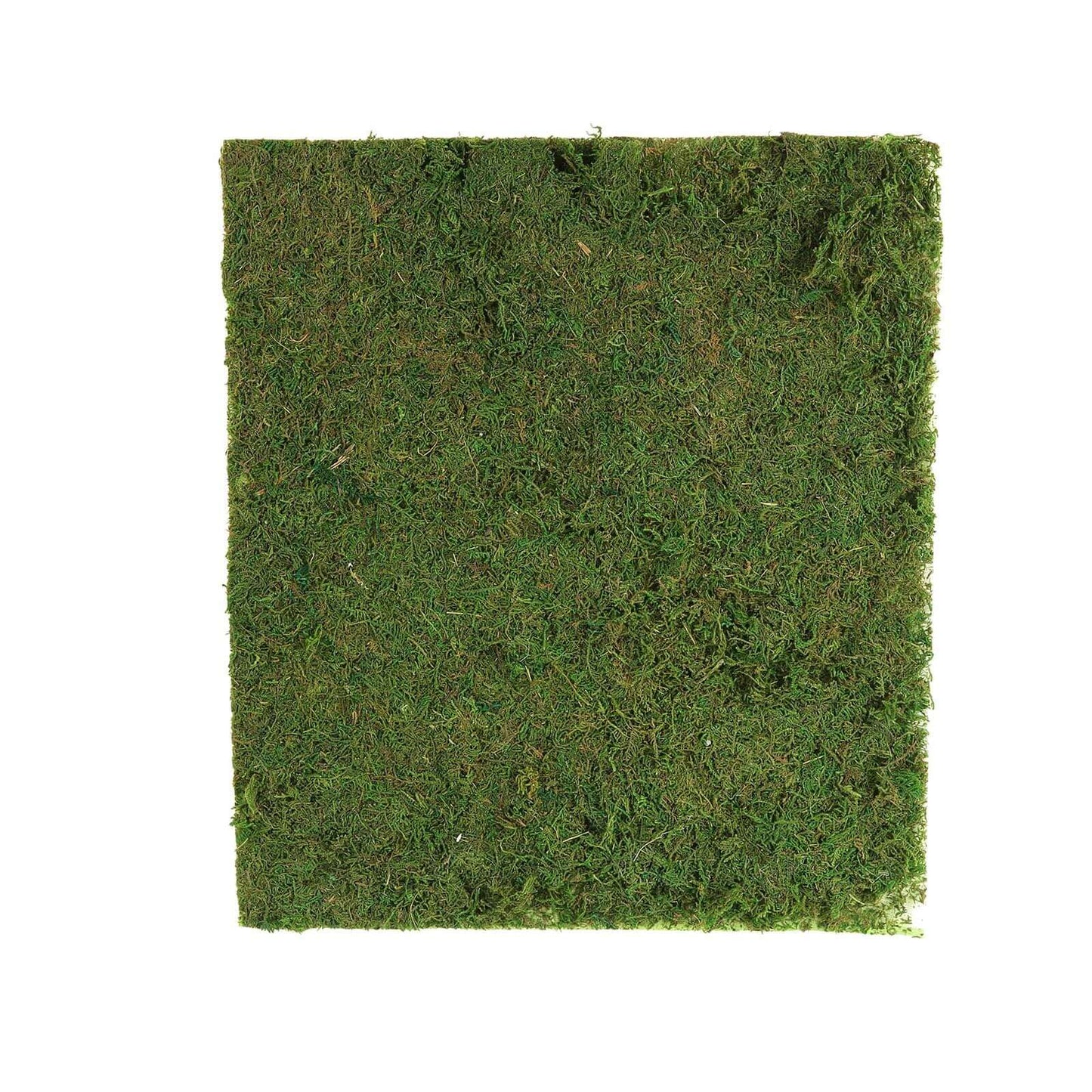 18"x16" Preserved Natural Moss Wall Sheet Roll, Moss Landscape Panel