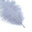 12 Pack 13"-15" Dusty Blue Natural Plume Real Ostrich Feathers, DIY Centerpiece Fillers