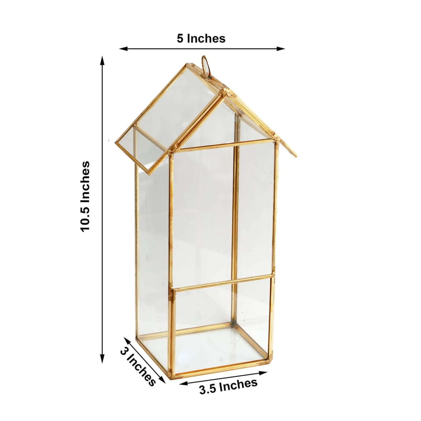 Glass Terrarium Hanging House Lantern Design Metal Gold - Versatile Holder for Air Plants & Displays 11"