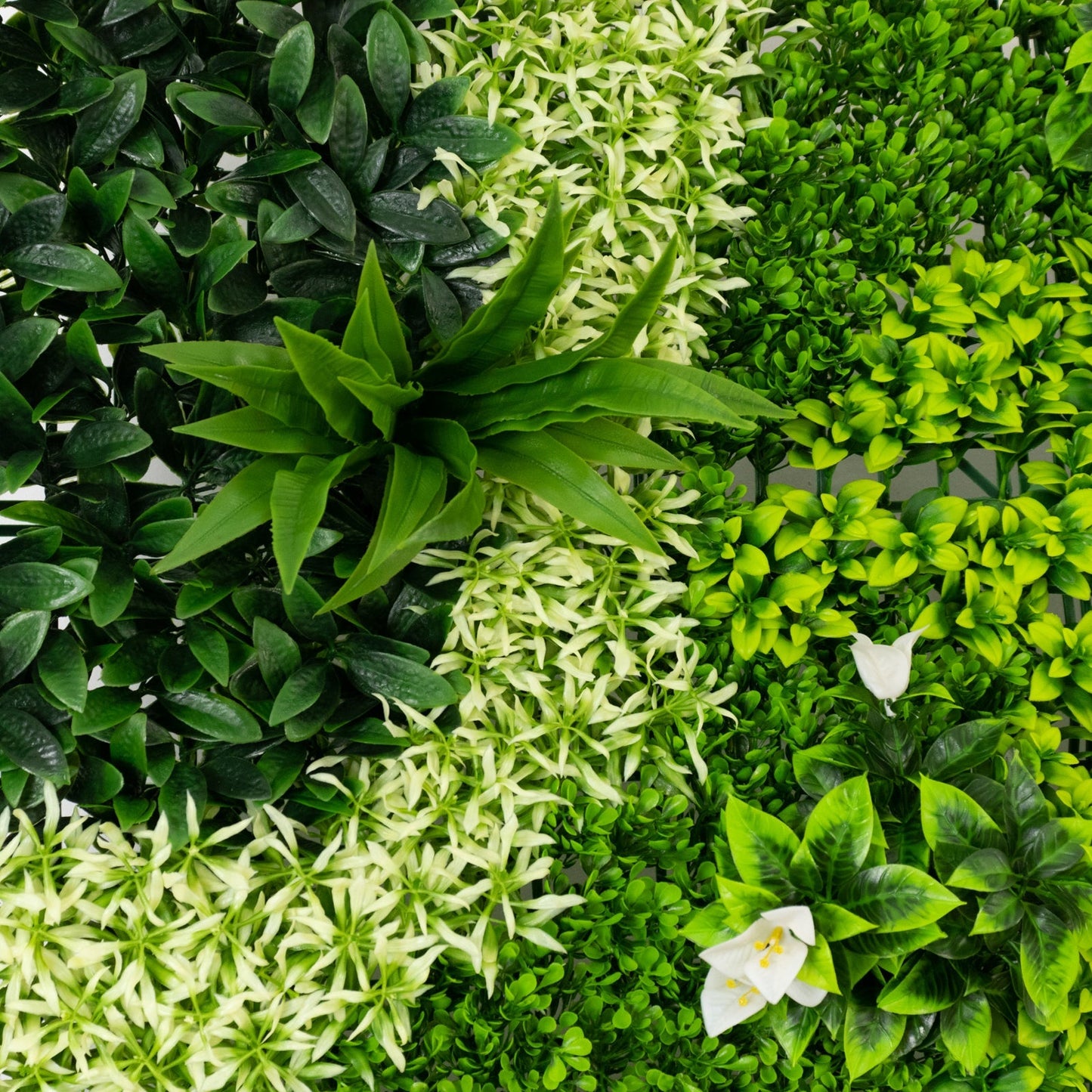 Artificial Boxwood Greenery Wall Panels, 40"Ã—40" Grass Panels with Variegated Leaves and White Flowers, UV-Protected Backdrop for Outdoor Decor â€“ 2 Panels, Covers 22 Sq. Ft.