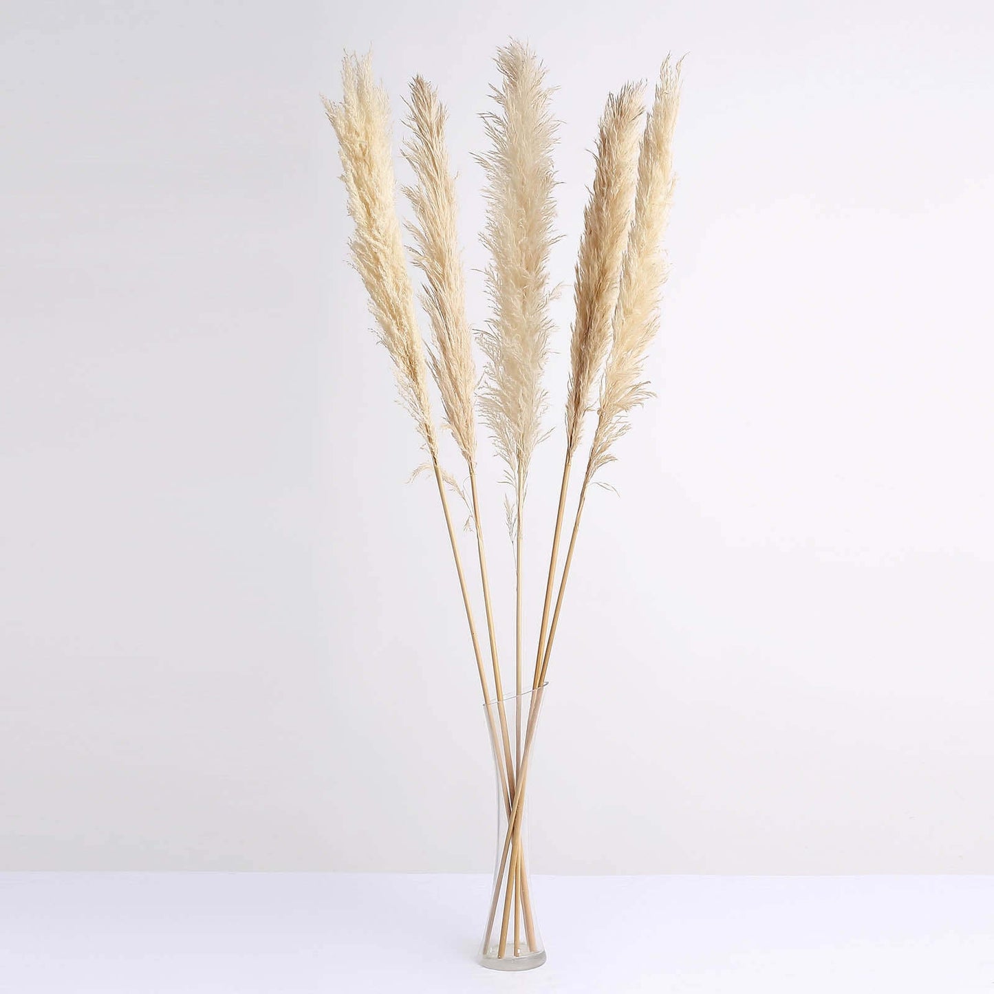 6 Stems Natural Dried Pampas Grass Decor Wheat Tint - Tall Plant Sprays for Boho Chic Vase Displays Backdrops & Event Styling 49"