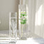 12-Pack Glass Cylinder Vases Square Clear - Durable Heavy Duty Floral Centerpieces for Weddings 14"