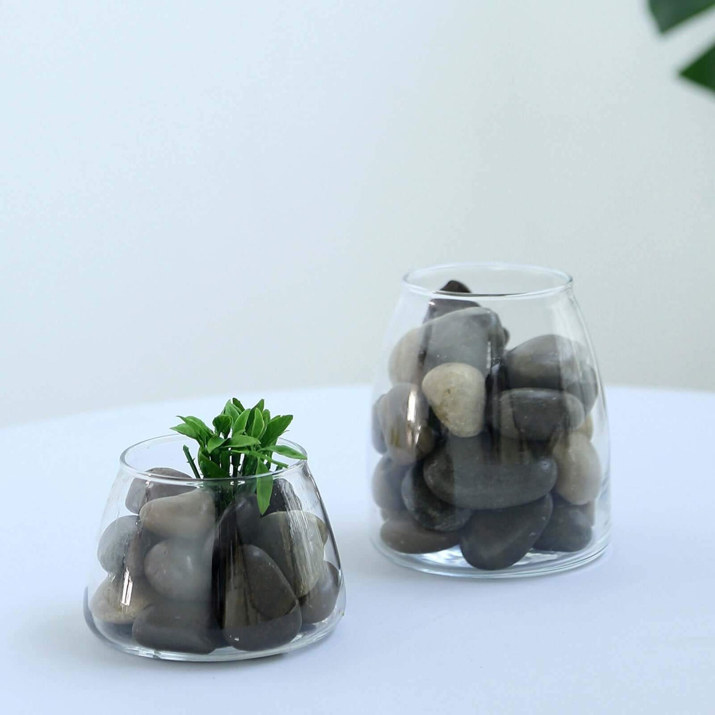 Polished Decorative Stones Natural Assorted Design - Ideal Vase Fillers, Landscaping, and Aquarium Use 2Lb