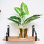 3 Pack Wood Metal Floating Wall Shelves Wall Mounted Shelf Set Decor