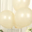 10 Pack Matte Pastel Cream Biodegradable Balloons 18", Round Eco-friendly Thick Latex Party Balloons