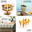 50-Pack Pine Wood Food Cones Eco Friendly Natural Disposable Design - 100% Biodegradable Tasting Serving Cones 6"