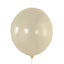 10 Pack Clear Biodegradable Balloons, 18" Thickened Extra Strong Eco-friendly Latex Helium Party Balloons