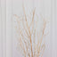 6-Pack Natural Birch Tree Branches 46" Metallic Gold - Versatile Extra Long Decorative Dried Willow Twigs Sticks for Vase Centerpiece Wedding Decor