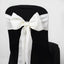 5 Pack Polyester Chair Sashes Ivory 6"x108"