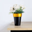 2-Pack Flower Plant Pots Medium Design Black with Gold Rim - Plastic Indoor Decorative Planters 6"