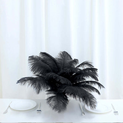 12 Pack 13"-15" Black Natural Plume Real Ostrich Feathers, DIY Centerpiece Fillers