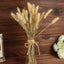 50-Pack Dried Bunny Tail Grass Natural - Rustic Chic Lagurus Ovatus Rabbit Tail Ornamental Grass for Modern Farmhouse Decor Event Styling & Floral Displays 15"