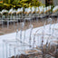 4 Pack Stackable Clear Acrylic Ghost Banquet Chairs with Oval Back, Fully Assembled Armless Event Accent Chair
