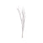 6-Pack Natural Birch Tree Branches 46" Natural - Versatile Extra Long Decorative Dried Willow Twigs Sticks for Vase Centerpiece Wedding Decor