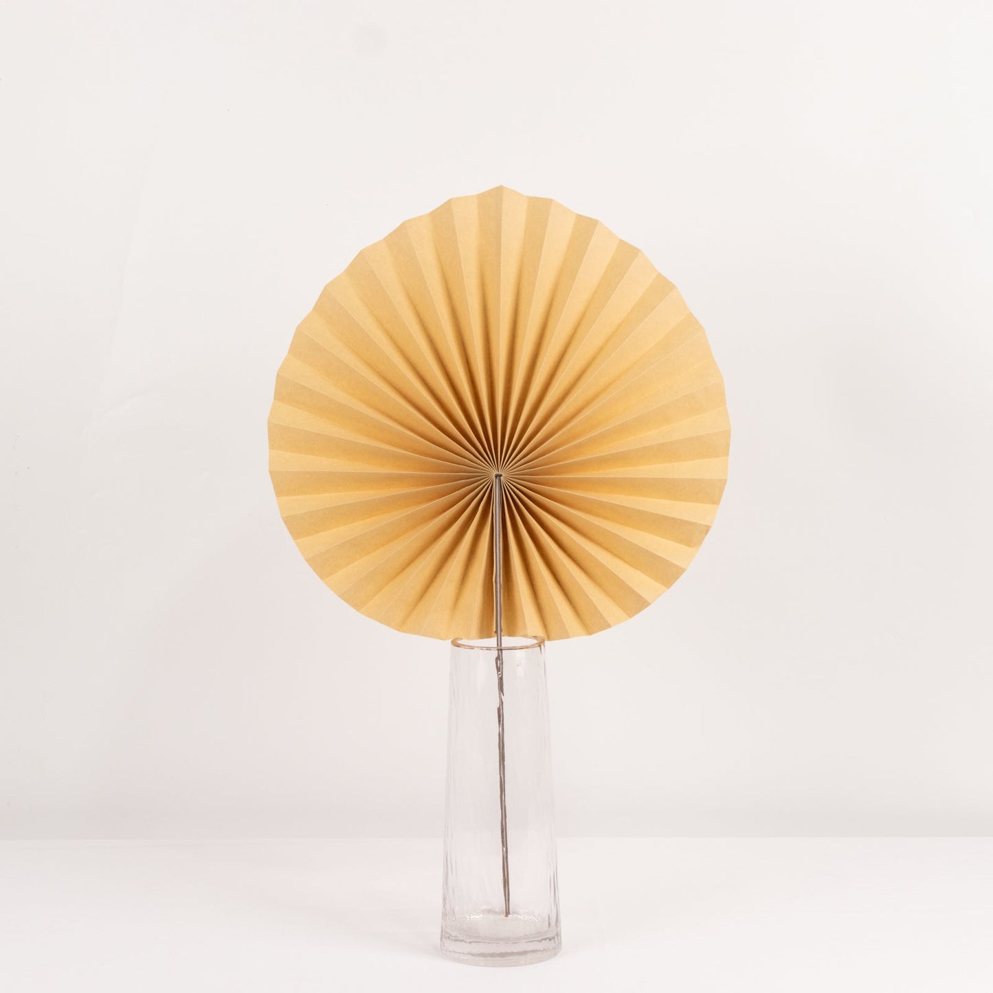 6 Pack Natural Dried Tropical Palm Leaves Paper Fans, 25" Handheld Folding Fans Boho Farmhouse Wall Table Decor