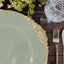 6-Pack Acrylic Round Charger Plates 13" in Dusty Sage Green with Gold Embossed Baroque Rim, Antique Decorative Dinner Party Charger Tableware