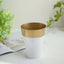 2-Pack Flower Plant Pots Medium Design White with Gold Rim - Plastic Indoor Decorative Planters 6"