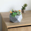 Geometric Planter Mini Cement Design Gray Finish - Concrete Succulent Flower Pot 7"