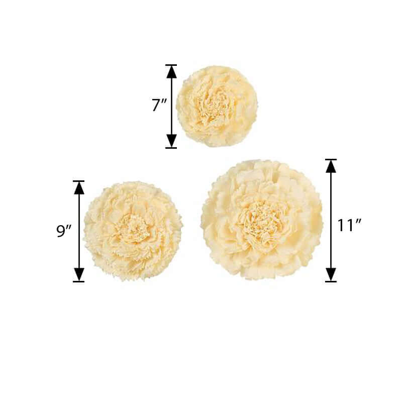 Set of 6 Ivory Cream Carnation 3D Paper Flowers Wall Decor - 7",9",11"