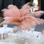 12 Pack 13"-15" Mauve Natural Plume Real Ostrich Feathers, DIY Centerpiece Fillers