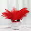 12 Pack 13"-15" Red Natural Plume Real Ostrich Feathers, DIY Centerpiece Fillers