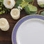 10-Pack Plastic Round Dinner Plates 10" White with Navy Blue Gold Spiral Rim - Chic Disposable Party Plates