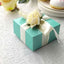 100 Pack 4"x4"x2" Turquoise Cake Cupcake Party Favor Gift Boxes, DIY