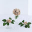 24 Roses 2" Champagne Artificial Foam Flowers With Stem Wire and Leaves