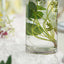 6-Pack Glass Flower Vases Cylinder Design Heavy Duty Clear - Stylish Centerpieces for Weddings 14"