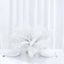 12 Pack 13"-15" White Natural Plume Real Ostrich Feathers, DIY Centerpiece Fillers