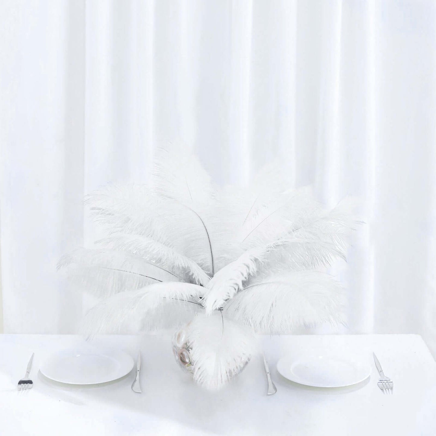 12 Pack 13"-15" White Natural Plume Real Ostrich Feathers, DIY Centerpiece Fillers