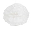 6 Pack 10" White Tissue Paper Pom Poms Flower Balls, Ceiling Wall Hanging Decorations