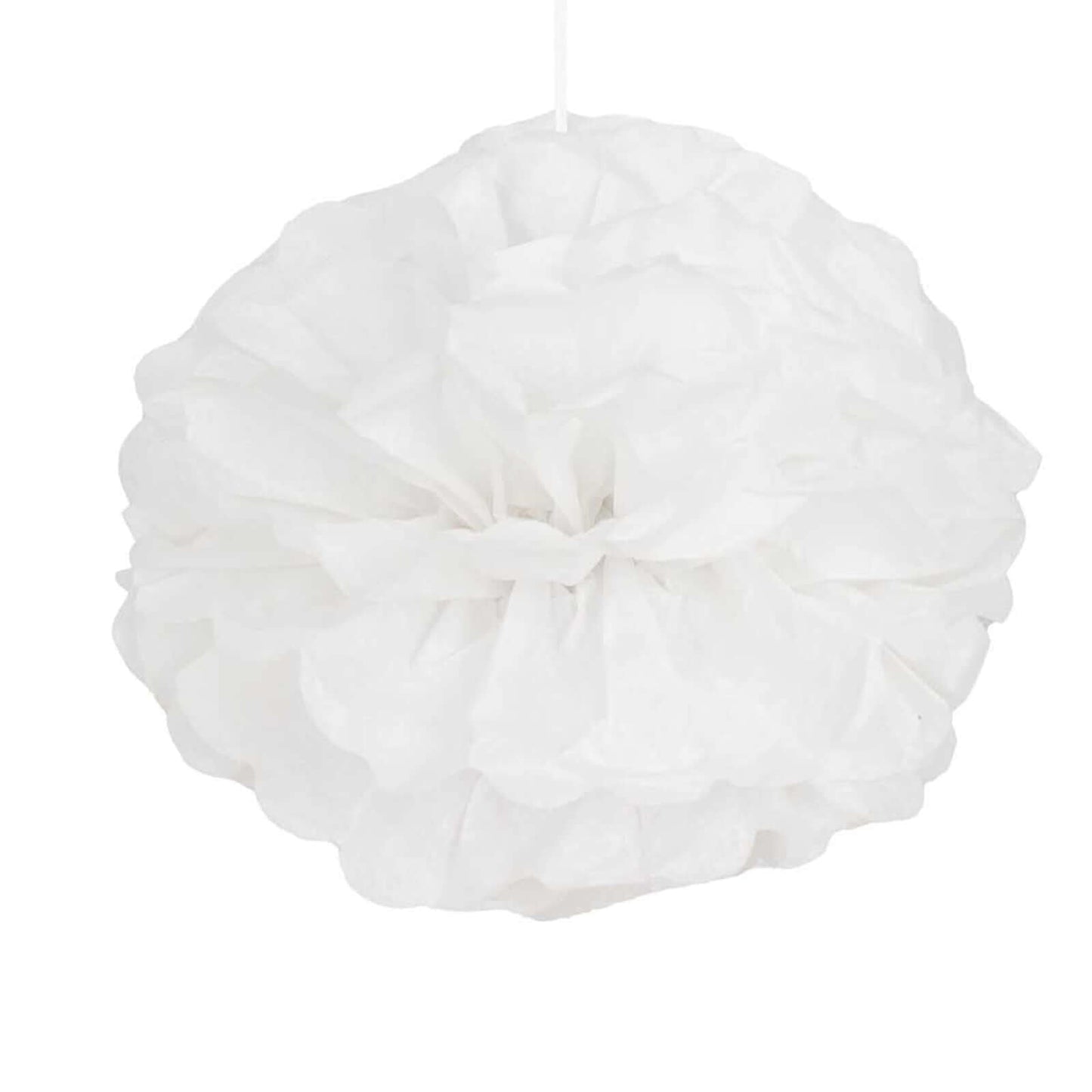 6 Pack 10" White Tissue Paper Pom Poms Flower Balls, Ceiling Wall Hanging Decorations