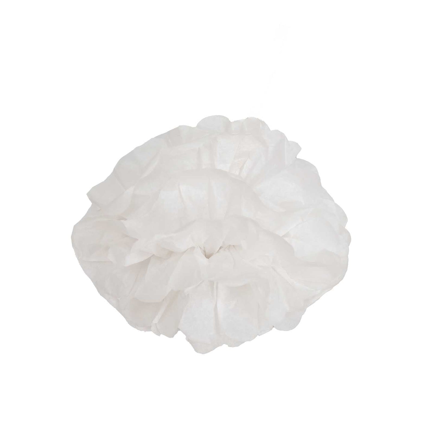 6 Pack 6" White Tissue Paper Pom Poms Flower Balls, Ceiling Wall Hanging Decorations