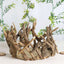 Natural Wooden Candle Holder Centerpiece - Rustic Mini Flower Vase for Events & Tables 6"