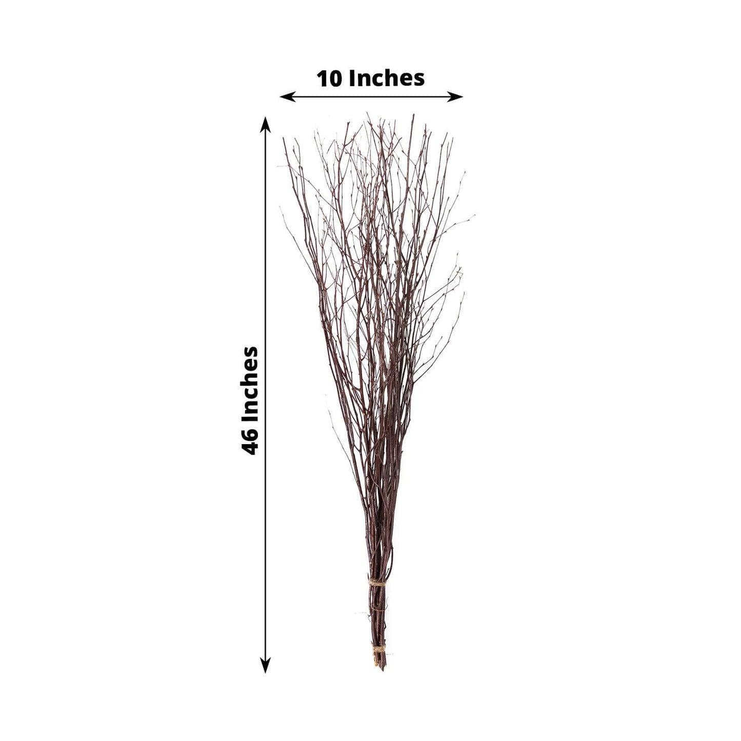 6-Pack Natural Birch Tree Branches 46" Natural - Versatile Extra Long Decorative Dried Willow Twigs Sticks for Vase Centerpiece Wedding Decor
