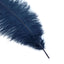 12 Pack 13"-15" Navy Blue Natural Plume Real Ostrich Feathers, DIY Centerpiece Fillers