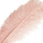 12 Pack 13"-15" Rose Gold Natural Plume Real Ostrich Feathers, DIY Centerpiece Fillers