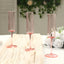 6-Pack Plastic Wine Mimosa Goblets Transparent Blush Cylindrical Shape - Reusable Champagne Flute Glasses 9.5" Tall 6oz